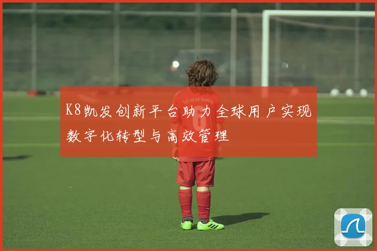 K8凯发创新平台助力全球用户实现数字化转型与高效管理