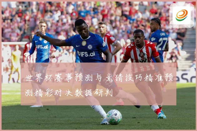 世界杯赛事预测与竞猜技巧精准预测精彩对决数据研判